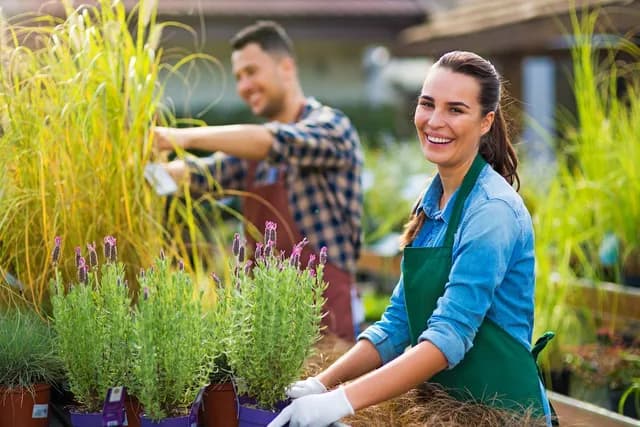 About Garden